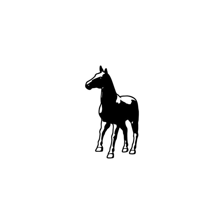 Horse Foal Stickers – Equestrian Pony Decals (2-Pack)