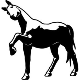 Horse Stickers – Equestrian Ranch Decals (2-Pack)