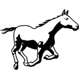 Running Horse Stickers – Pinto Equestrian Decals (2-Pack)
