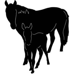 Mare & Foal Horse Stickers – Silhouette Decals (2-Pack)