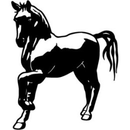 Horse Stickers – Prancing Portrait Decals (2-Pack)