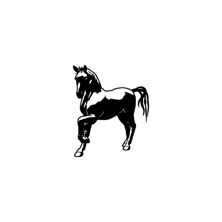 Horse Stickers – Prancing Portrait Decals (2-Pack)