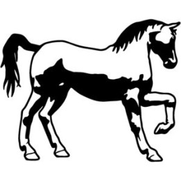 Horse Stickers – Mustang Equestrian Decals (2-Pack)