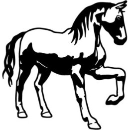 Horse Stallion Stickers – Equestrian Decals (2-Pack)