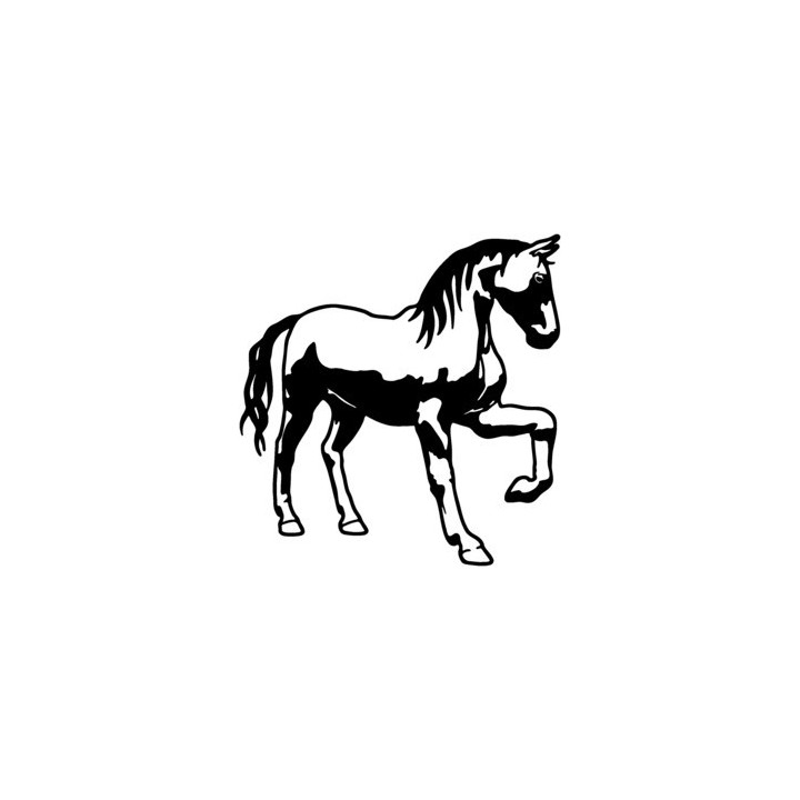Horse Stallion Stickers – Equestrian Decals (2-Pack)