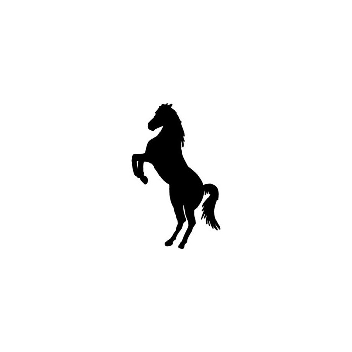 Rearing Horse Stickers – Equestrian Silhouette Decals (2-Pack)