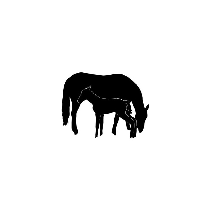Mare & Foal Horse Stickers – Silhouette Decals (2-Pack)