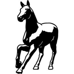 Horse Stickers – Foal Stallion Equestrian Decals (2-Pack)