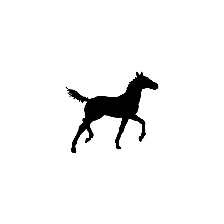 Horse Foal Silhouette Stickers – Equestrian Decals (2-Pack)