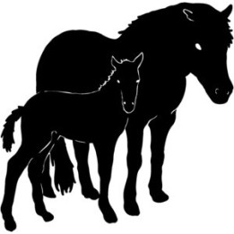 Horse Vinyl Decal Sticker V66 - DecalsHouse