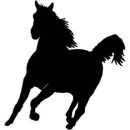 Horse Vinyl Decal Sticker V68 - DecalsHouse