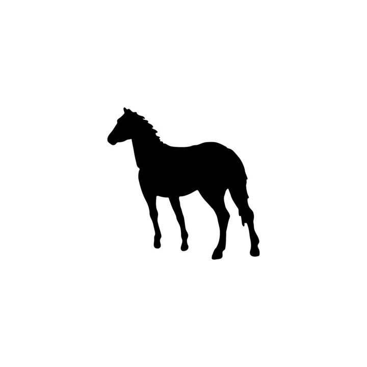Horse Vinyl Decal Sticker V7 - DecalsHouse