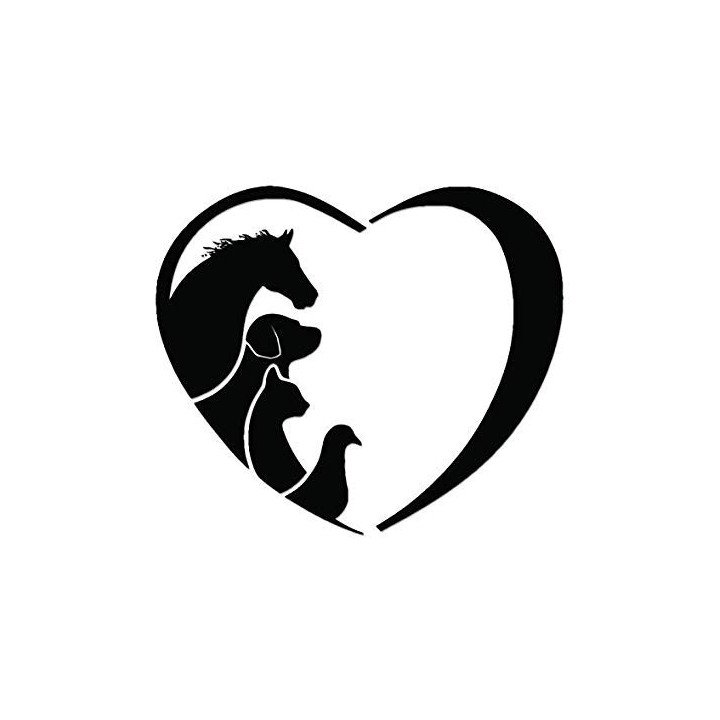 Horse Vinyl Decal Sticker V76 - DecalsHouse