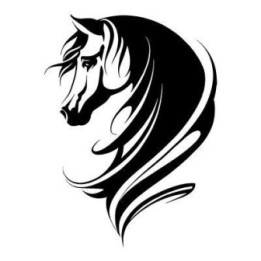 Horse Vinyl Decal Sticker V77 - DecalsHouse