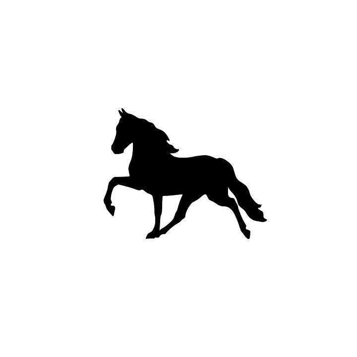 Horse Vinyl Decal Sticker V79 - DecalsHouse