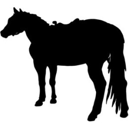 Horse Vinyl Decal Sticker V8 - DecalsHouse