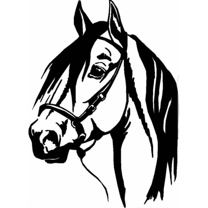 Horse Vinyl Decal Sticker V82 - DecalsHouse