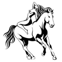 Horse Vinyl Decal Sticker V86 - DecalsHouse