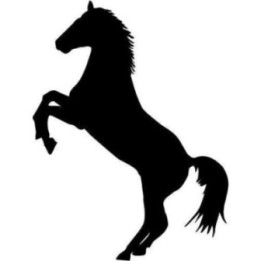 Horse Vinyl Decal Sticker V87 - DecalsHouse