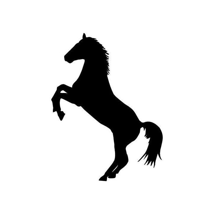 Horse Vinyl Decal Sticker V87 - DecalsHouse