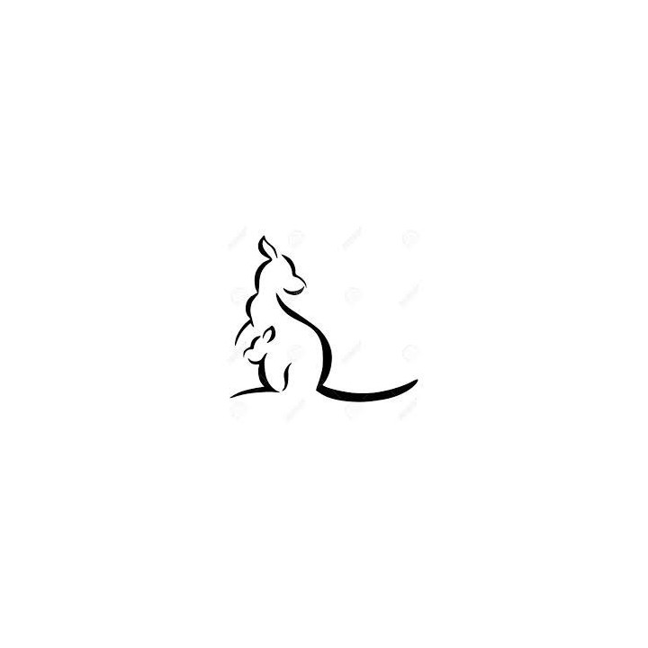 Kangaroo Vinyl Decal Sticker V18 - DecalsHouse