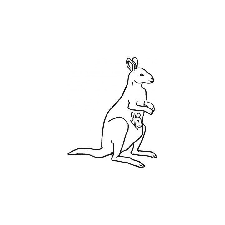 Kangaroo Vinyl Decal Sticker V2 - DecalsHouse
