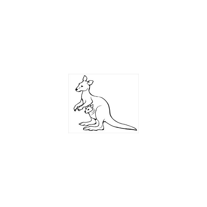 Kangaroo Vinyl Decal Sticker V9 - DecalsHouse