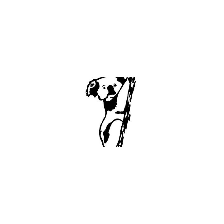 Koala Bear Vinyl Decal Sticker V13 - DecalsHouse