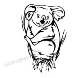 Koala Bear Vinyl Decal Sticker V21 - DecalsHouse
