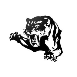 Leopard Vinyl Decal Sticker V11 - DecalsHouse