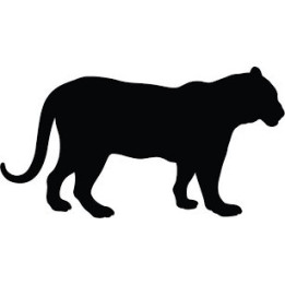 Leopard Vinyl Decal Sticker V16 - DecalsHouse
