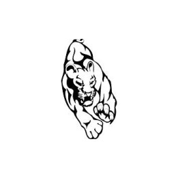 Leopard Vinyl Decal Sticker V18 - DecalsHouse