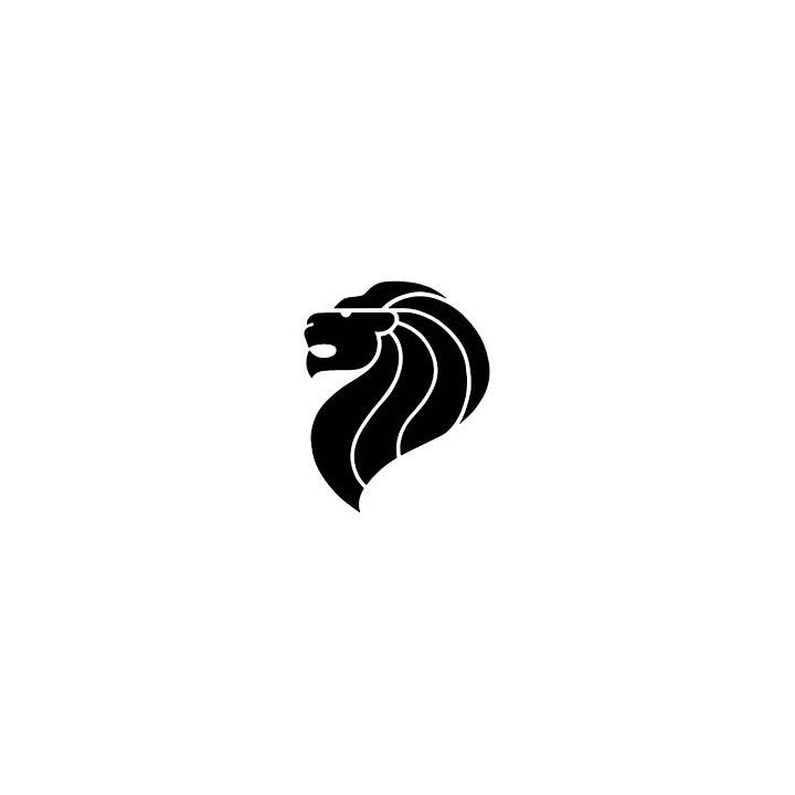 Lion Vinyl Decal Sticker V17 - DecalsHouse