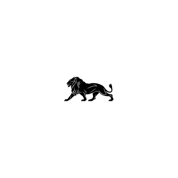 Lion Vinyl Decal Sticker V37 - DecalsHouse