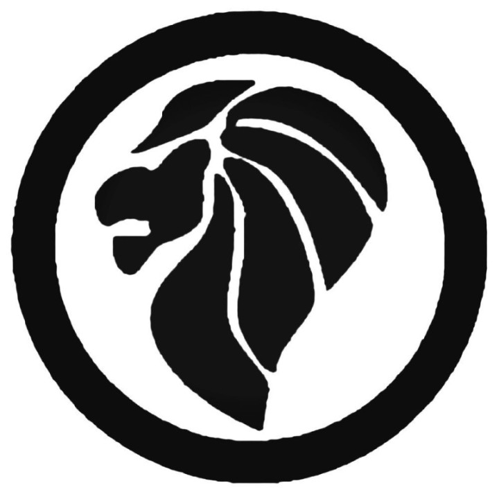 Lion Vinyl Decal Sticker V41 - DecalsHouse