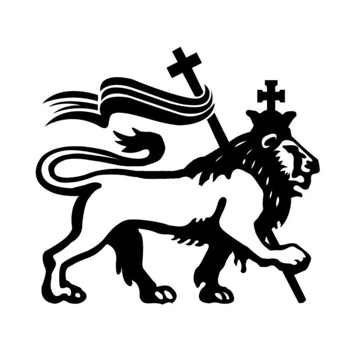 Lion Vinyl Decal Sticker V64 - DecalsHouse