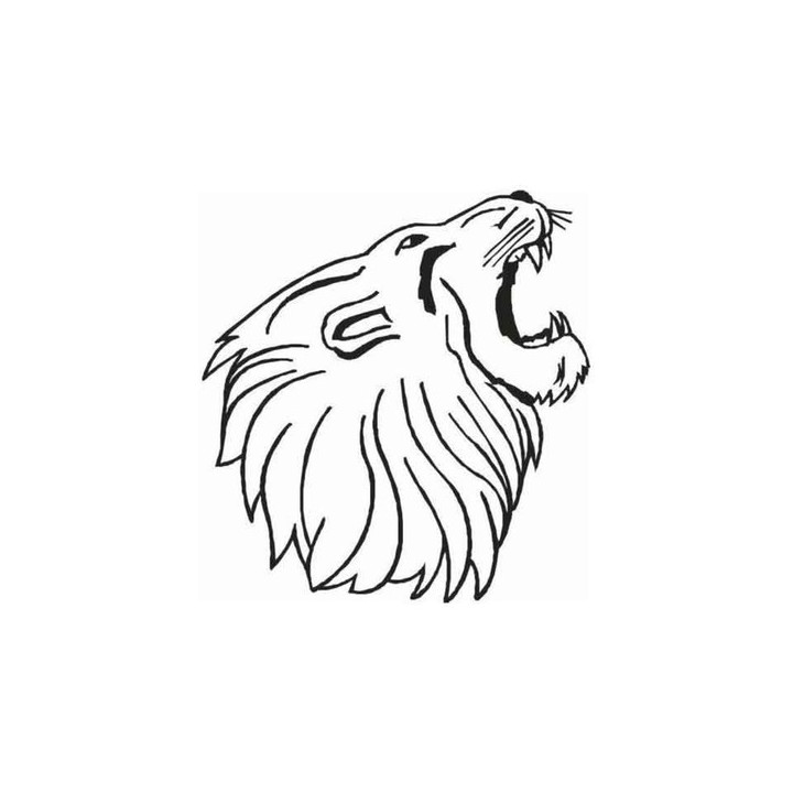 Lion Vinyl Decal Sticker V70 - DecalsHouse