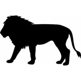 Lion Vinyl Decal Sticker V75 - DecalsHouse