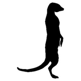 Meerkat Vinyl Decal Sticker V11 - DecalsHouse