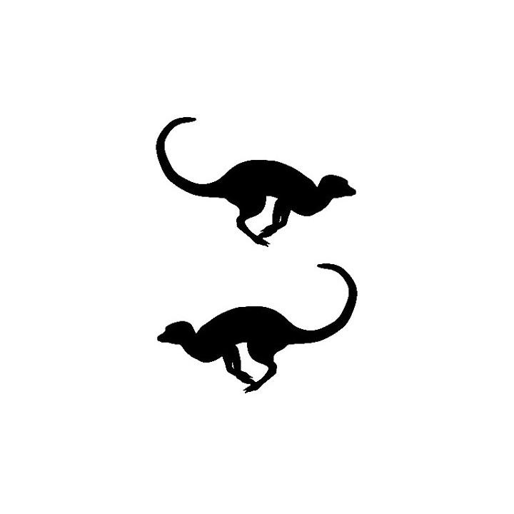 Meerkat Vinyl Decal Sticker V13 - DecalsHouse