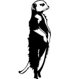 Meerkat Vinyl Decal Sticker V16 - DecalsHouse