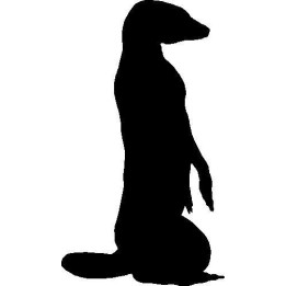 Meerkat Vinyl Decal Sticker V19 - DecalsHouse