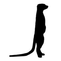 Meerkat Vinyl Decal Sticker V21 - DecalsHouse