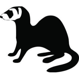Meerkat Vinyl Decal Sticker V25 - DecalsHouse