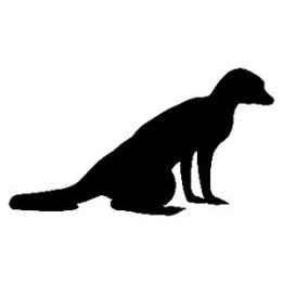 Meerkat Vinyl Decal Sticker V3 - DecalsHouse