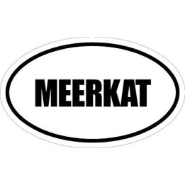 Meerkat Vinyl Decal Sticker V30 - DecalsHouse