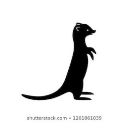 Meerkat Vinyl Decal Sticker V35 - DecalsHouse