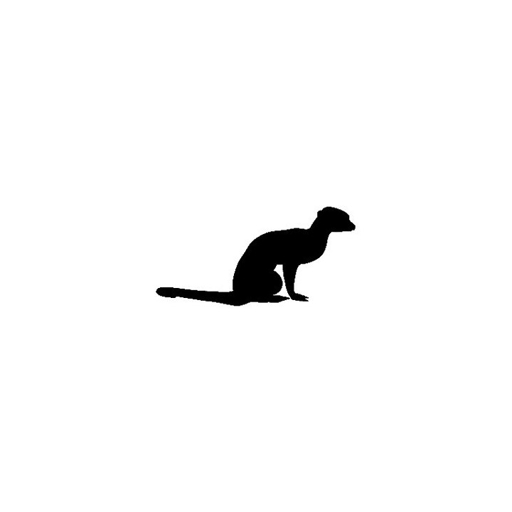 Meerkat Vinyl Decal Sticker V4 - DecalsHouse