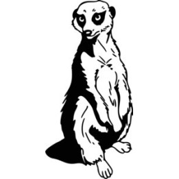 Meerkat Vinyl Decal Sticker - DecalsHouse