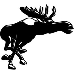 Moose Vinyl Decal Sticker V12 - DecalsHouse